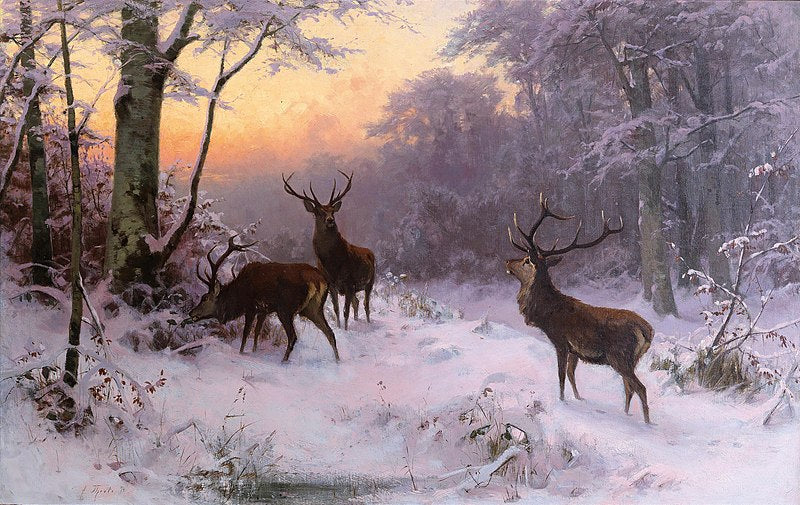 Deer in a Winter Woodland